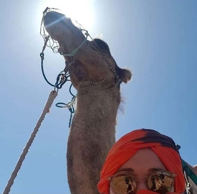 Marrakech: buggy ATV Palmeraie Tour with Tea break - Key Points
