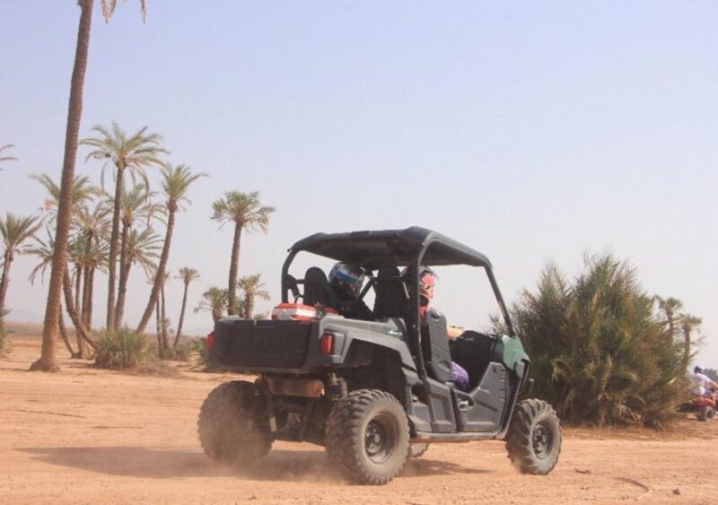 Marrakech: Buggy Experience at Palmeraie with Hotel Pickup - Key Points