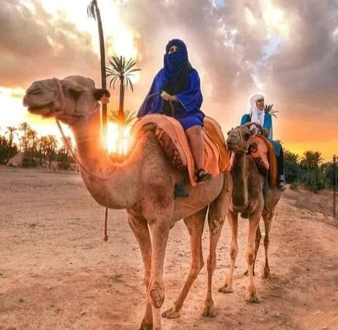 Marrakech: buggy Palmeraie Tour Camel Ride with Tea break - Key Points