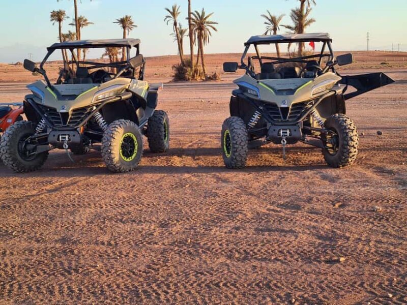 Marrakech: buggy Palmeraie Tour Camel Ride with Tea break - What to Expect from the Marrakech Buggy Palmeraie Tour