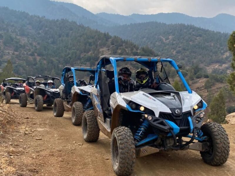 Marrakech: Buggy Ride, Pool & Dinner Show in Agafay Desert - Authenticity and the Experiences Value