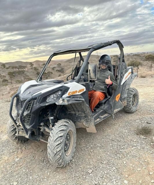 Marrakech: Buggy Ride, Pool & Dinner Show in Agafay Desert - Who Will Love This Experience?