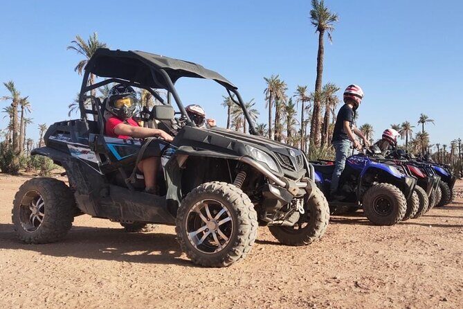 Marrakech: Buggy Tour in the Palmgroves - Price and Value: Is It Worth It?