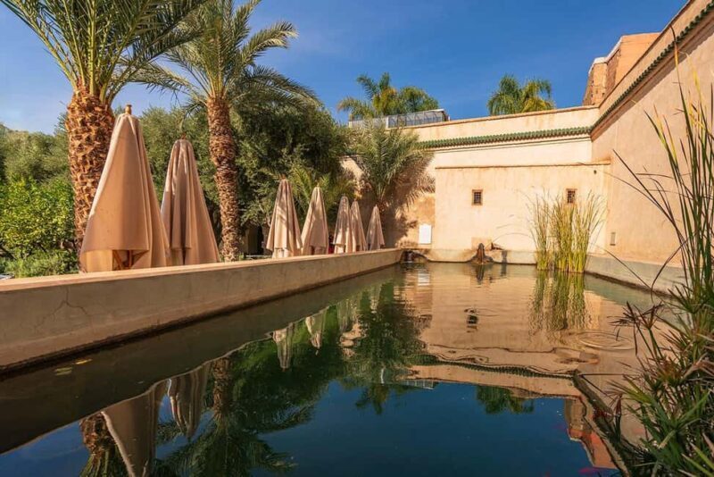 Marrakech: Cactus Thiemann, Anima Garden & Paradis du Safran - Who Will Love This Tour?