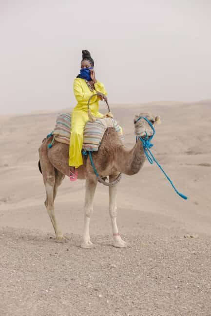 Marrakech: Camel & Quad Bike Tour with Sunset, Dinner & Show - Key Points