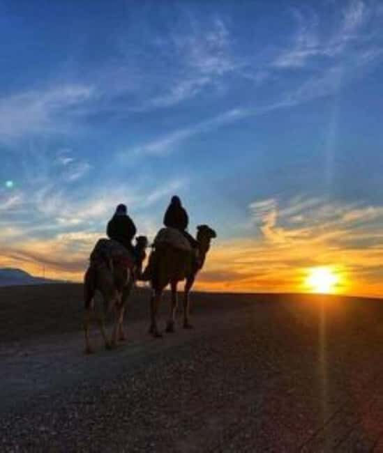 Marrakech: Camel & Quad Bike Tour with Sunset, Dinner & Show - An In-Depth Look at the Marrakech Camel & Quad Bike Tour