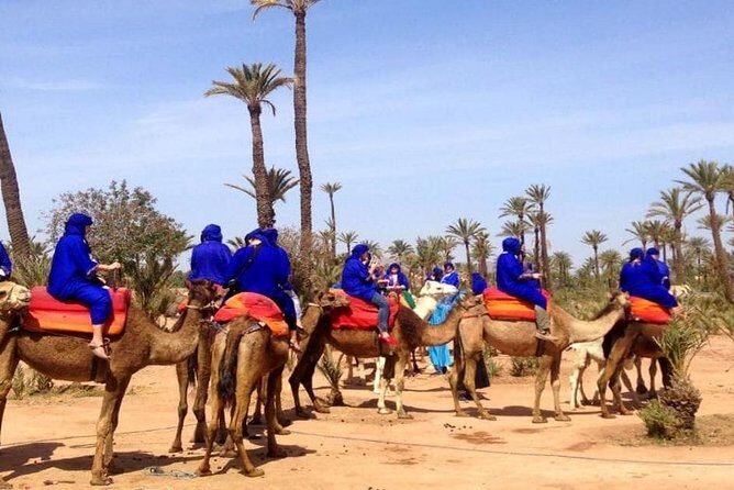 Marrakech Camel Ride at the Palm Groves - The Complete Breakdown of the Marrakech Camel Ride Tour
