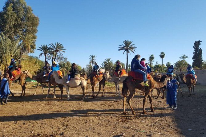 Marrakech Camel Ride at the Palm Groves - FAQ