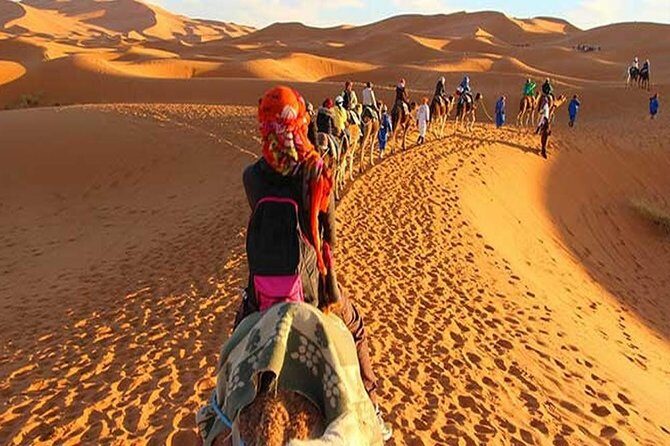 Marrakech Camel Ride - An In-Depth Look at the Marrakech Camel Ride Experience