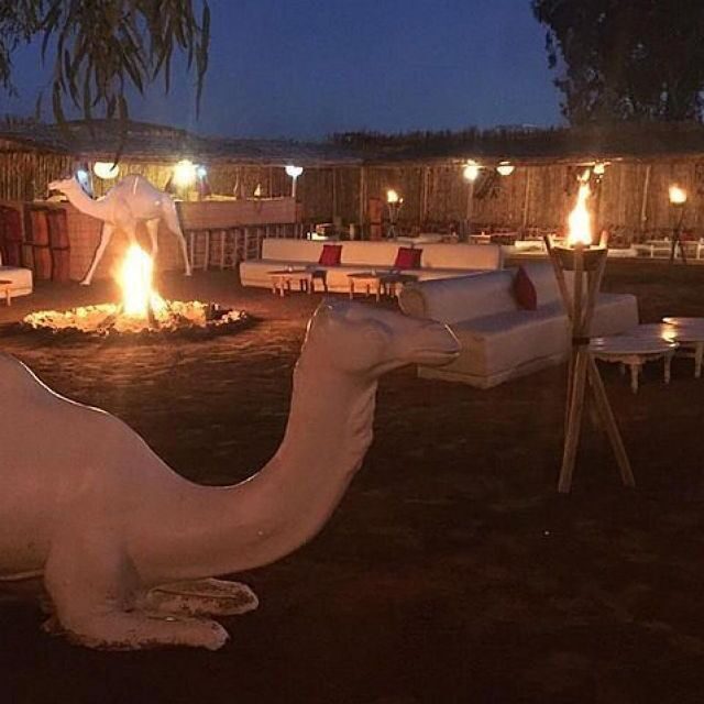 Marrakech: Camel Ride & Dinner with Sunset in Agafay Desert - Key Points