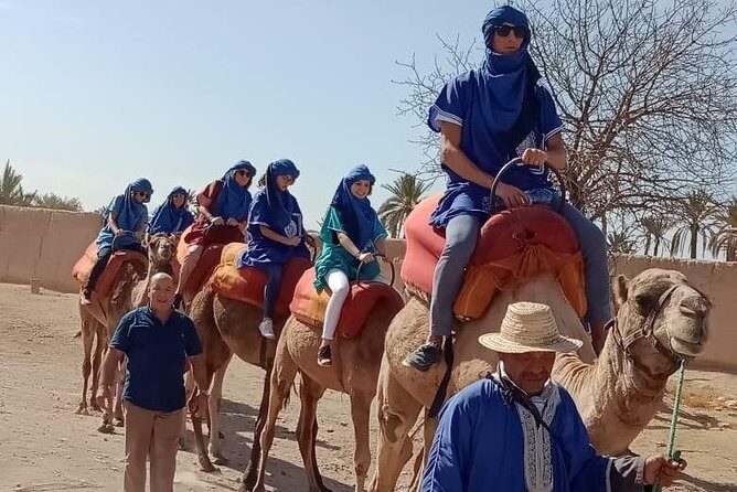 Marrakech camel ride in Palm grove - Marrakech Camel Ride in Palm Grove: A Practical & Authentic Experience