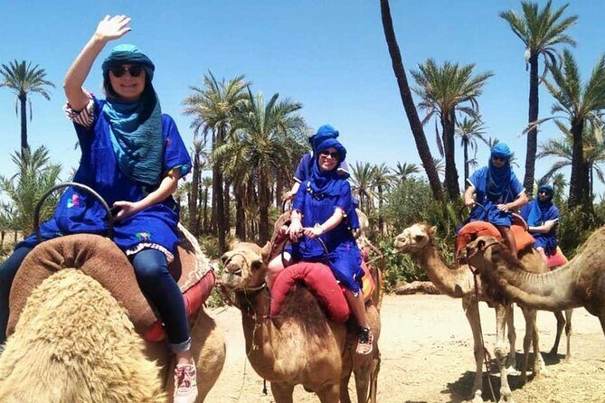 Marrakech Camel Ride in Palmeraie - Key Points: