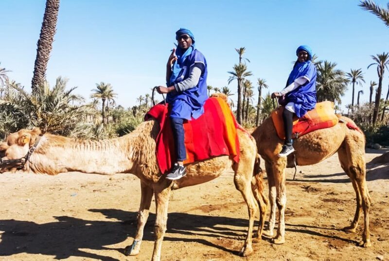 Marrakech: Camel Ride in the Oasis Palmeraie - The Value of the Experience