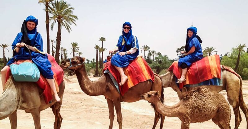 Marrakech: Camel Ride in the Oasis Palmeraie - Practical Tips for Your Camel Ride