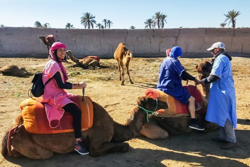 Marrakech: Camel Ride in the Oasis Palmeraie - Who Will Love This Tour?