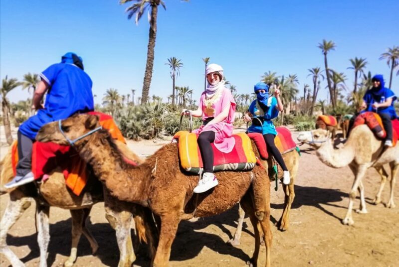 Marrakech: Camel Ride in the Oasis Palmeraie - FAQ