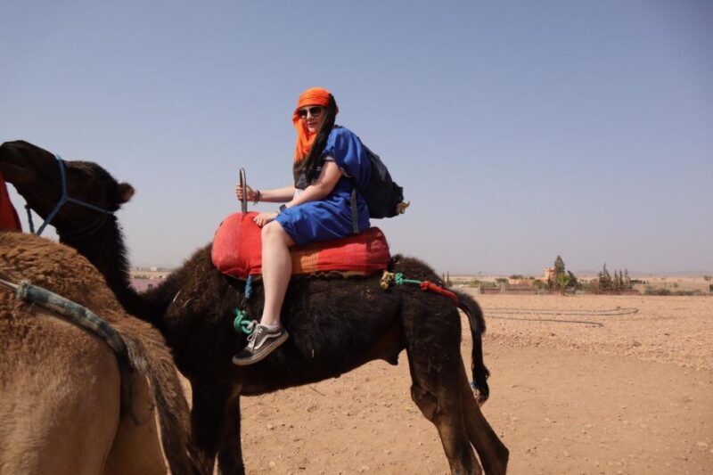 Marrakech: Camel Ride in the Palm Grove - Key Points
