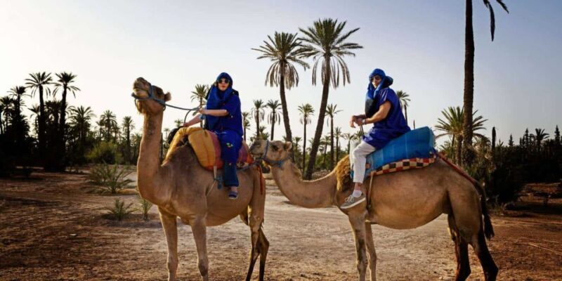Marrakech: Camel Ride in the Palm Grove - Final Thoughts
