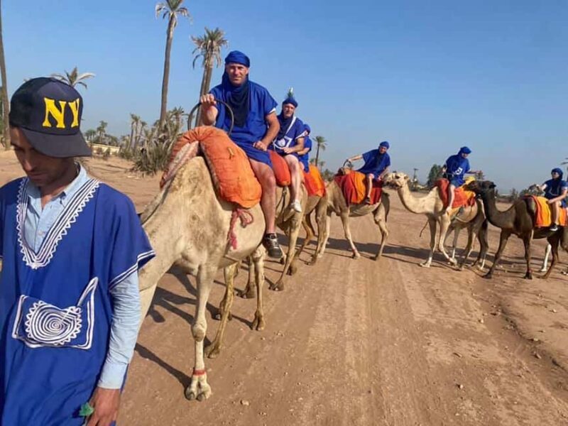 Marrakech camel ride in the palm grove - Key Points