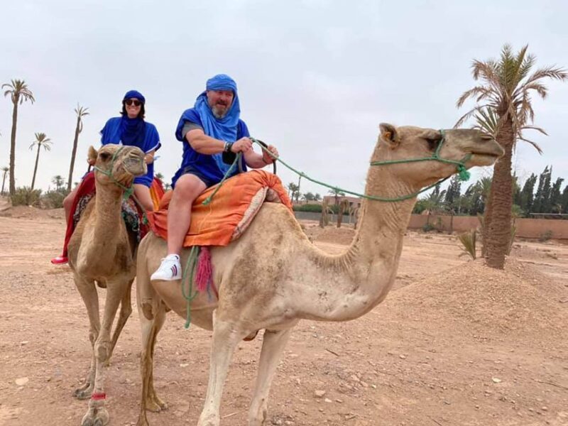 Marrakech camel ride in the palm grove - The Overview: What’s Included and What to Expect
