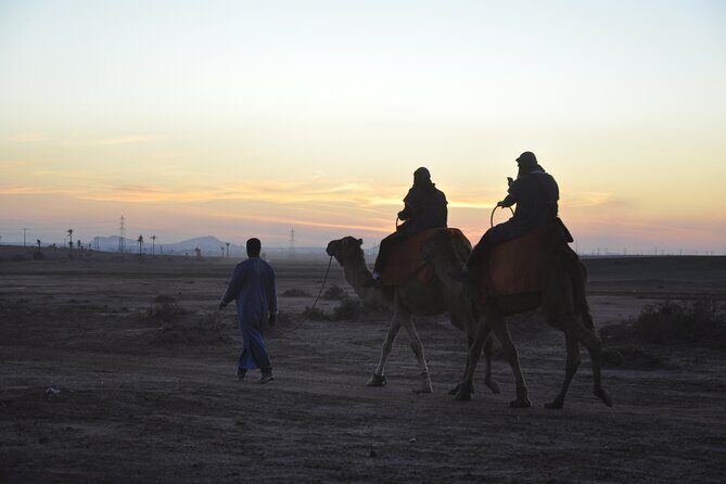 Marrakech: Camel ride in the palm grove - Key Points