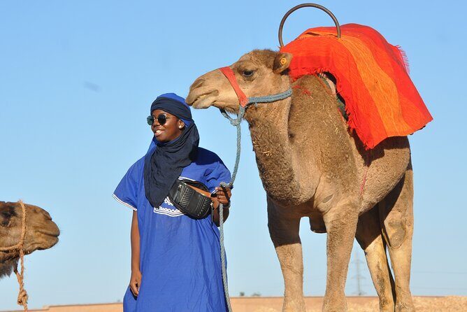Marrakech: Camel ride in the palm grove - Final Thoughts
