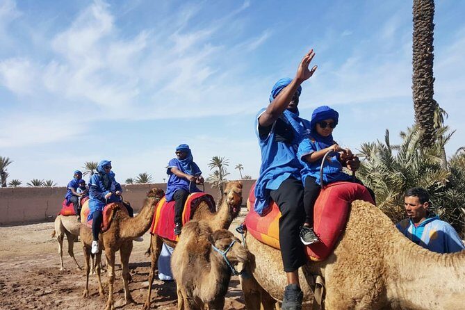 Marrakech Camel ride & Quad Bike experience in the oasis Palmeraie - The Sum Up