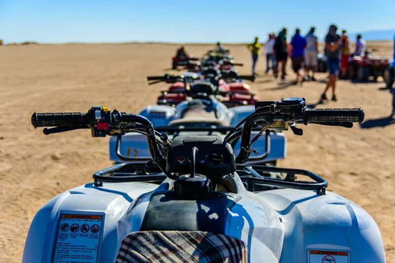 Marrakech : Camel Ride, Quad Bike In Palmeraie With Transfer - Exploring Marrakech’s Palmeraie: What’s Included  