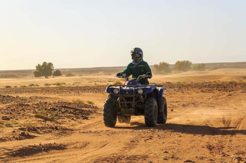 Marrakech : Camel Ride, Quad Bike In Palmeraie With Transfer - The Camel Ride: A Serene Cultural Highlight