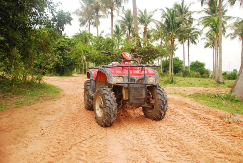 Marrakech : Camel Ride, Quad Bike In Palmeraie With Transfer - Final Thoughts  
