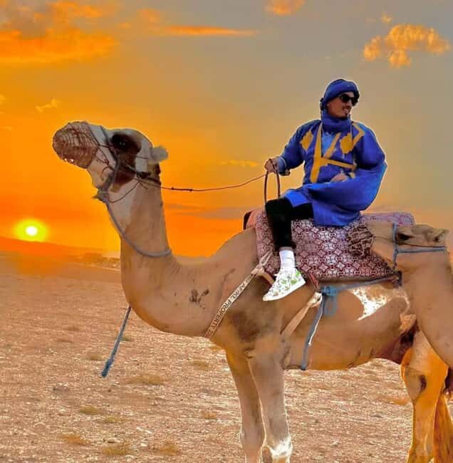 Marrakech: Camel Ride & Sunset Dinner with Fire Show - Is It Worth the Price?