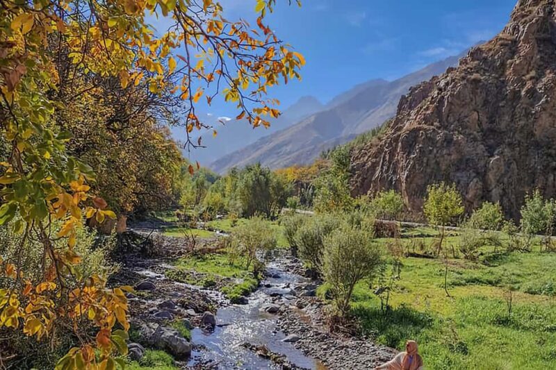 Marrakech Camel Ride through Agafay, Atlas & Berber Village - The Itinerary Breakdown: From Marrakech to Majestic Landscapes