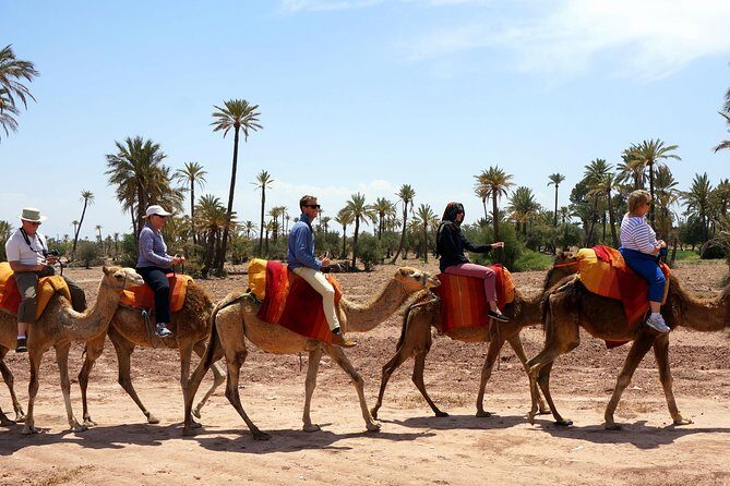 Marrakech Camel Ride Tour - The Sum Up