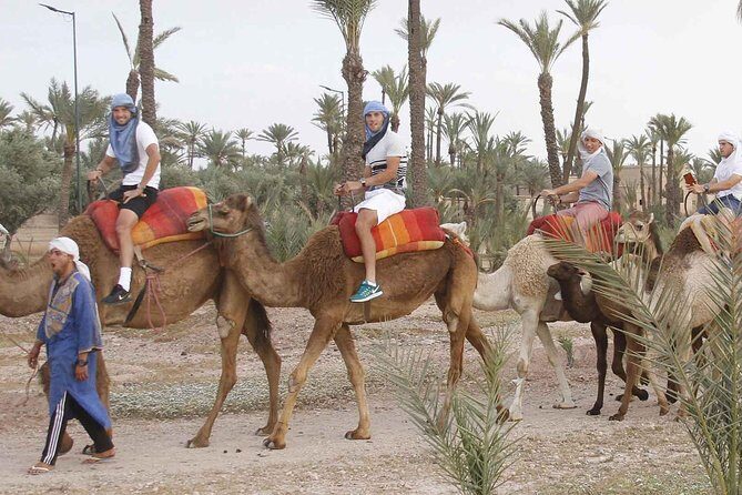 Marrakech Camel Ride Tour - FAQ