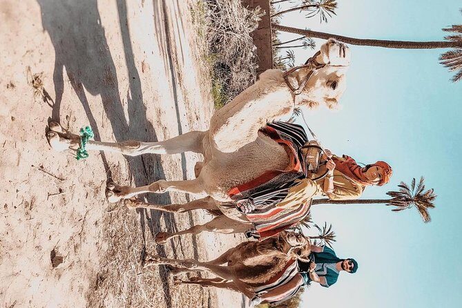 Marrakech camel ride tour - Exploring the Marrakech Camel Ride Tour: What to Expect