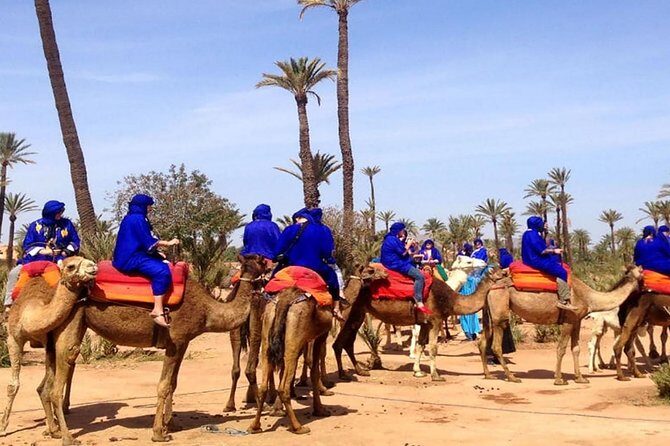 Marrakech camel ride tour - FAQs