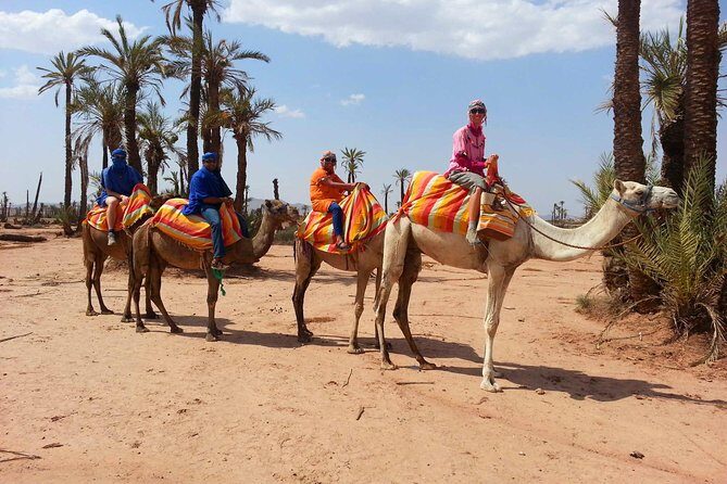 Marrakech camel ride tour - Final Words