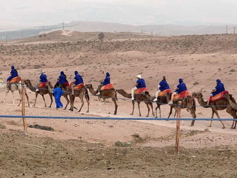 Marrakech: Camel Ride with Dinner and Moroccan Music - Key Points