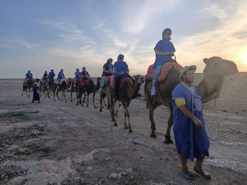 Marrakech: Camel Safari at Agafay Desert - Key Points