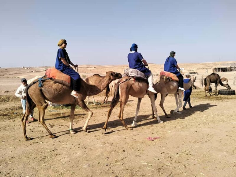 Marrakech: Camel Safari at Agafay Desert - Practical Details: Making Your Experience Smooth