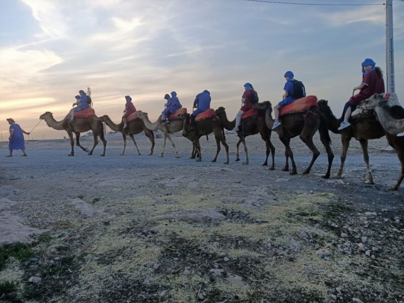 Marrakech: Camel Safari at Agafay Desert - FAQ