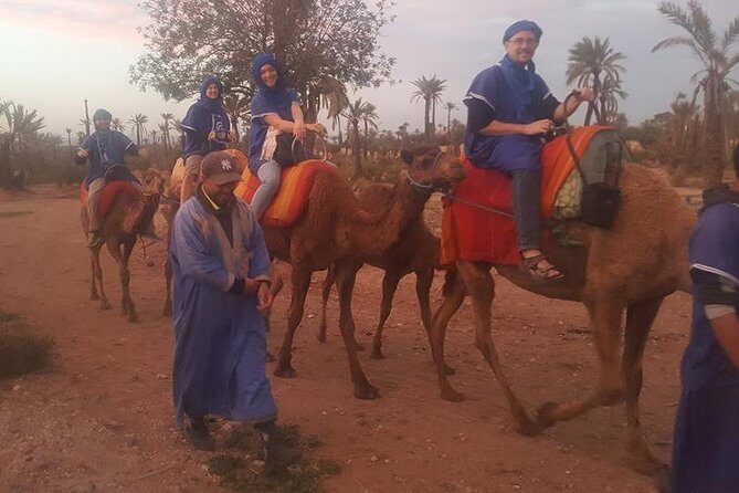 Marrakech Camel Safari at Agafay Desert - Authenticity and Guides