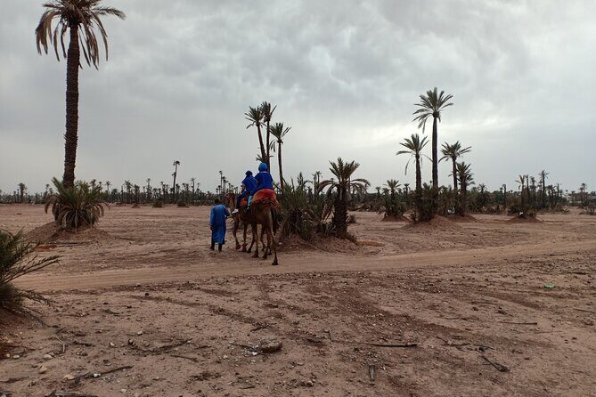 Marrakech Camel Safari at Agafay Desert - Who Should Consider This Tour?