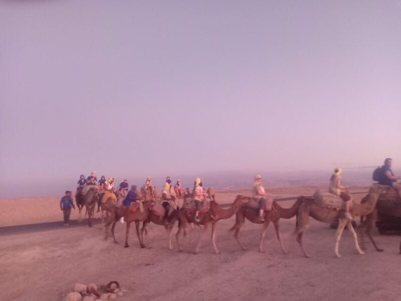 Marrakech: Camel Safari at Agafay Desert with Lunch - Key Points