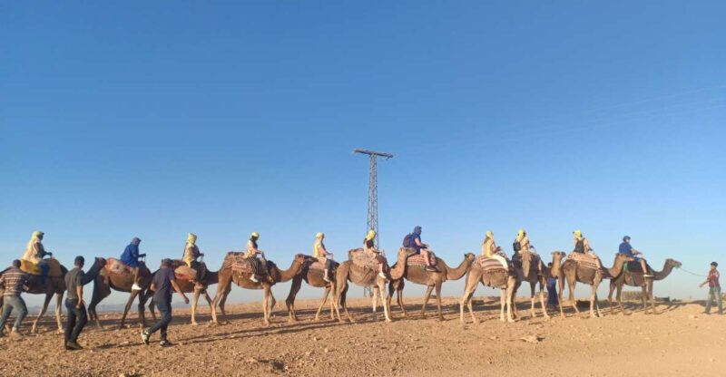 Marrakech: Camel Safari at Agafay Desert with Lunch - What to Expect on the Tour