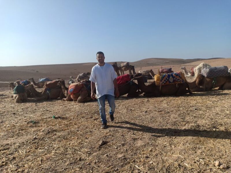 Marrakech: Camel Safari at Agafay Desert with Lunch - The Sum Up