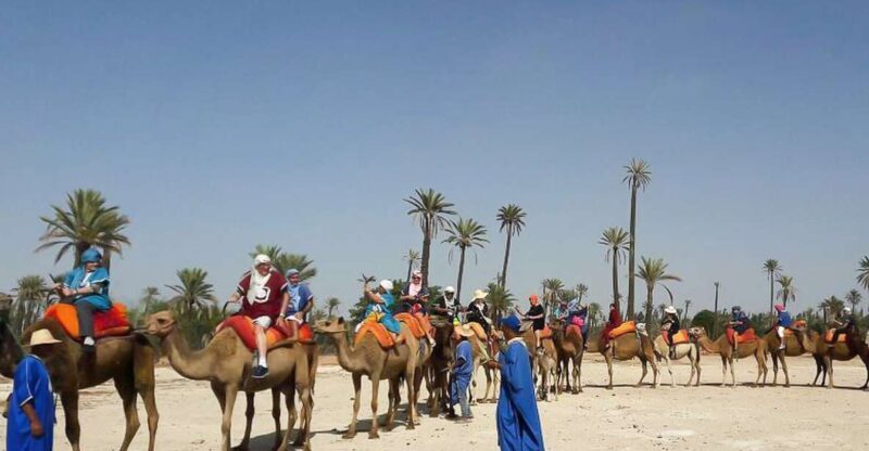 Marrakech: Camel Trek - Marrakech: Camel Trek  