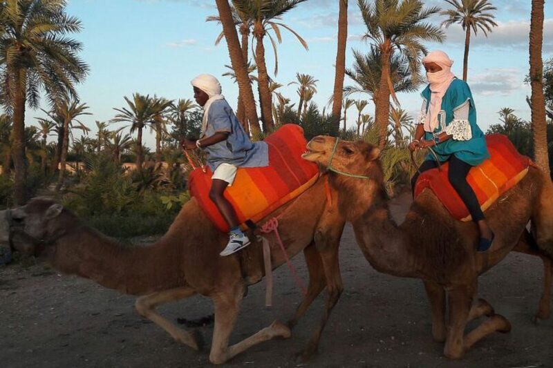 Marrakech: Camel Trek - Key Points  