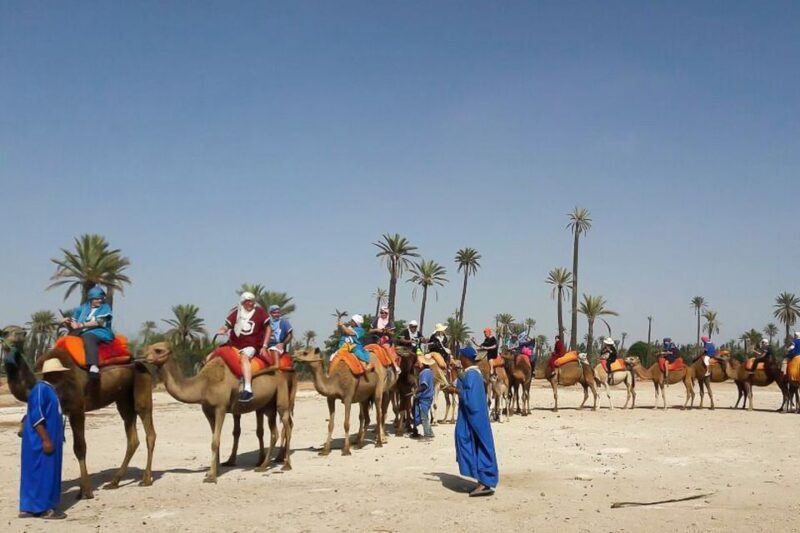 Marrakech: Camel Trek - The Value & Who It Suits Best  