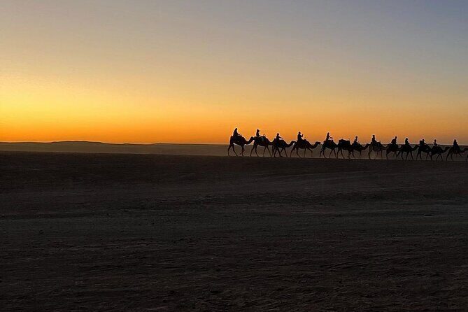 Marrakech: Camels & Quads on Sunset and Luxury Dinner with Show - Final Thoughts